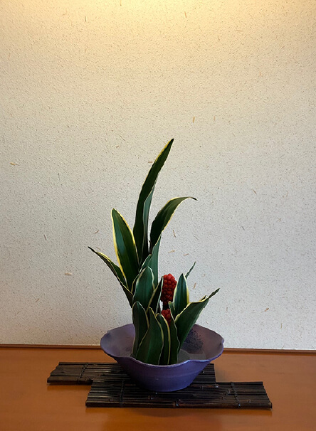 季節のお花が、そこかしこに。